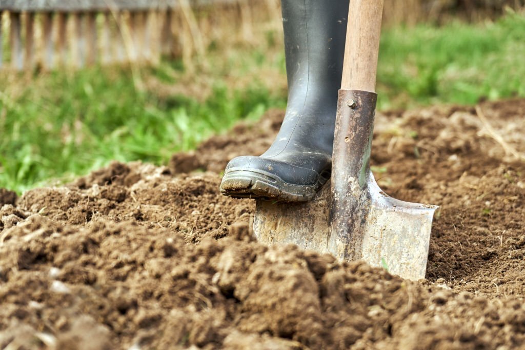 Comment ameublir et améliorer le sol argileux de son jardin