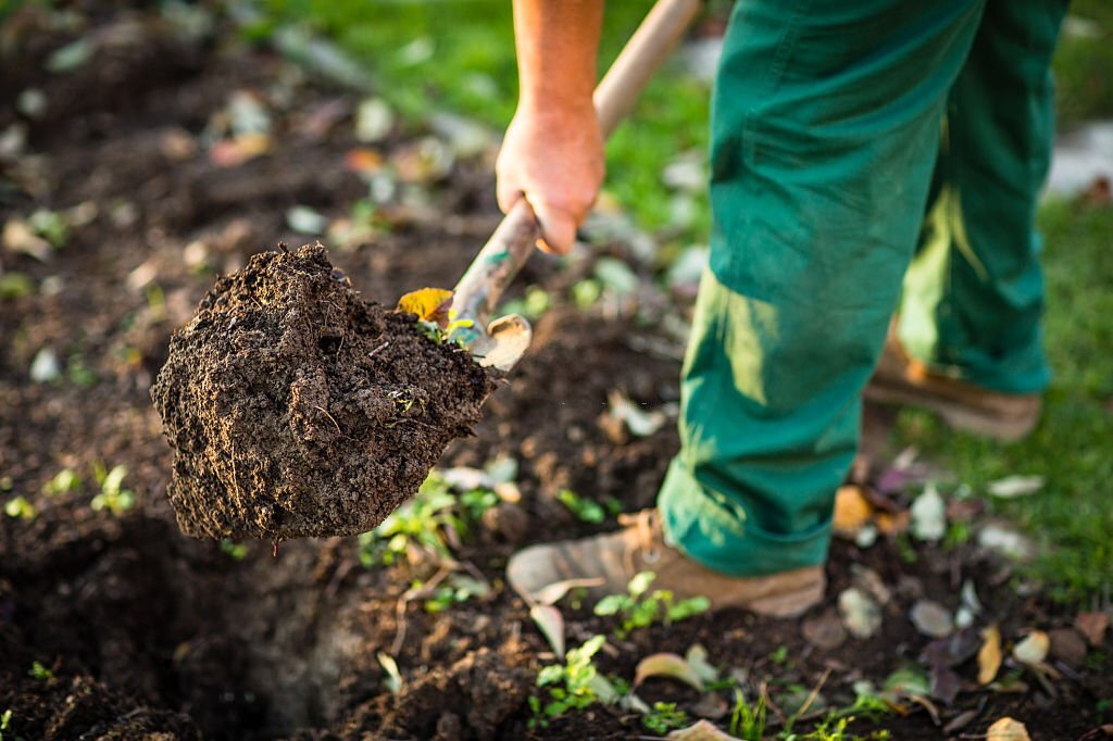 Quelle est la meilleure façon d'ameublir un sol argileux ?